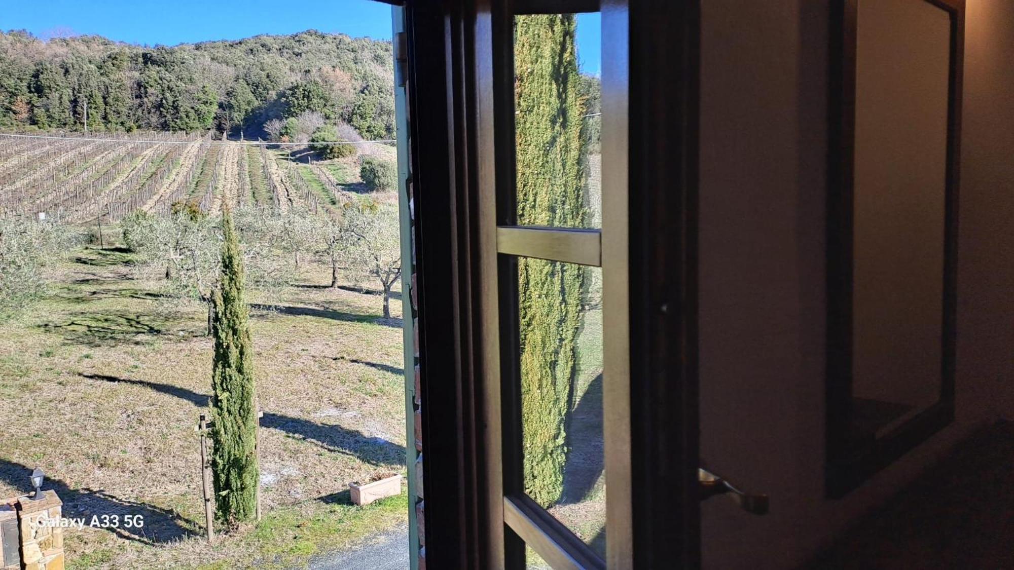 Podere Oliveta Montecatini Val di Cecina Extérieur photo