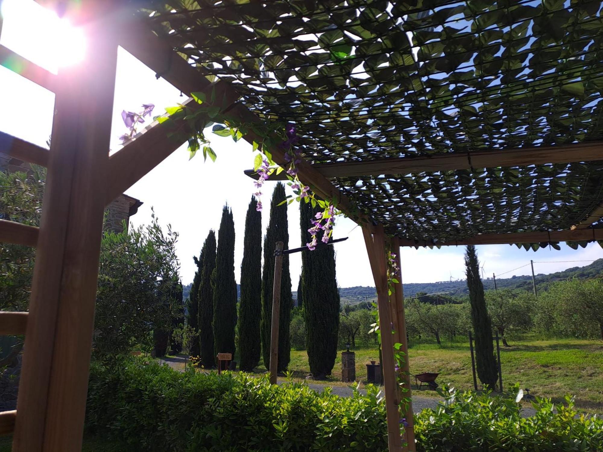Podere Oliveta Montecatini Val di Cecina Extérieur photo